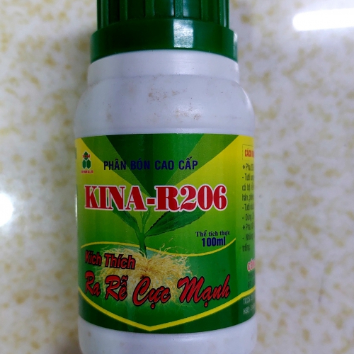 Thuốc kích rễ cực mạnh Kina R206 - 100ml