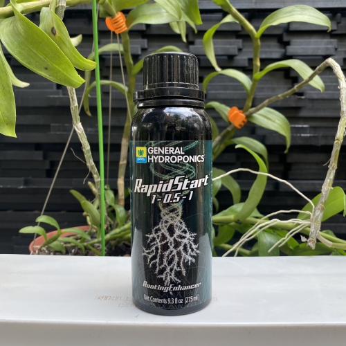 Phân bón siêu kích rễ Rapid Start - 275ml