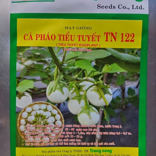 Cà pháo Lai - Tiểu Tuyết 