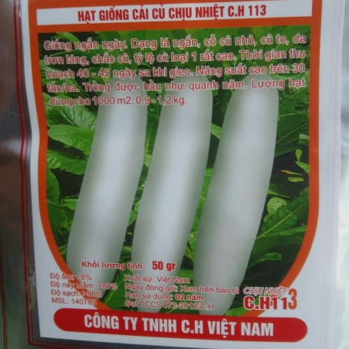 Hạt giống củ cải chịu nhiệt