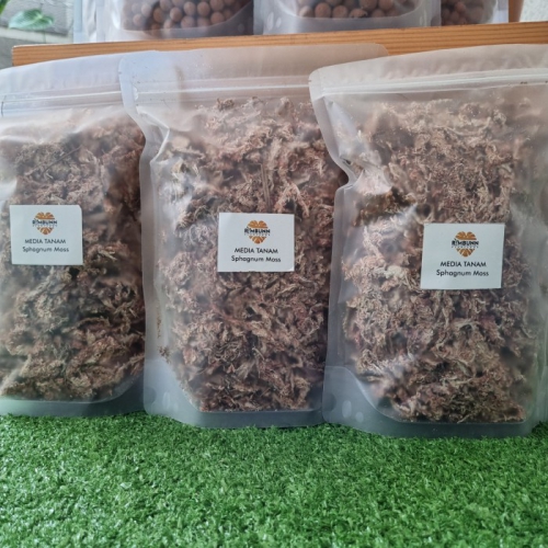 Dớn mềm trồng lan rêu sâu Sphagnum Moss - Gói 100gram