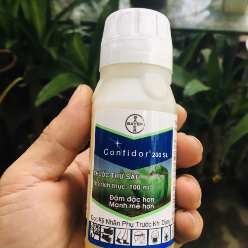 Thuốc trừ rệp sáp Confidor 200SL - Chai 100ml