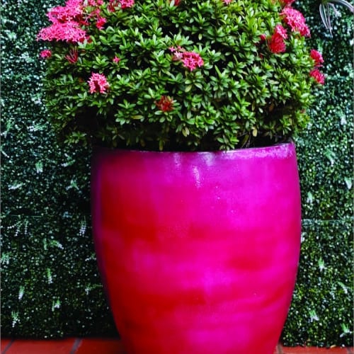 Chậu trồng cây gốm sứ màu đẹp