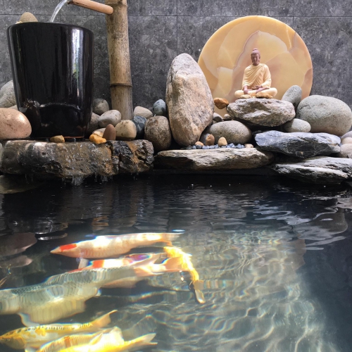 Thiết kế, thi công hồ cá koi tại Đà Nẵng