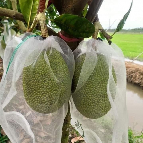 Bao lưới mùng caro túi rút - 18x24cm