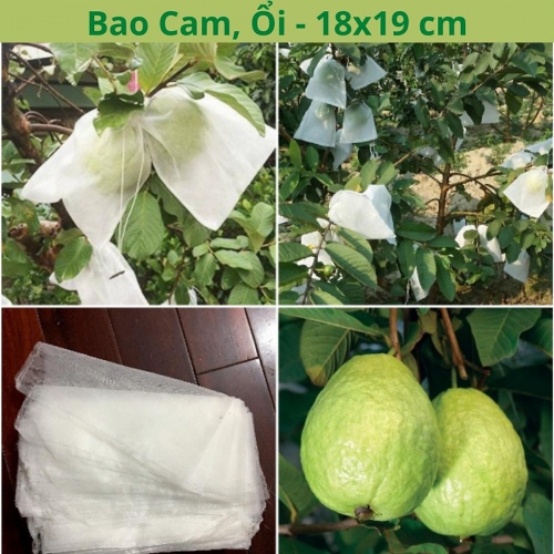 Túi bao quả dây rút - 18x19cm