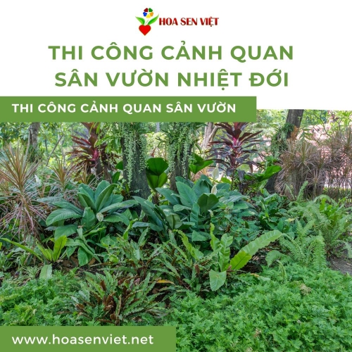 Thiết Kế & Thi Công Sân Vườn Nhiệt Đới Trọn Gói