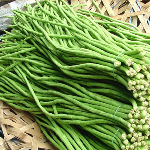 Hạt Giống Đậu Đũa Hạt Đen