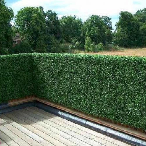 Thi công cỏ nhân tạo