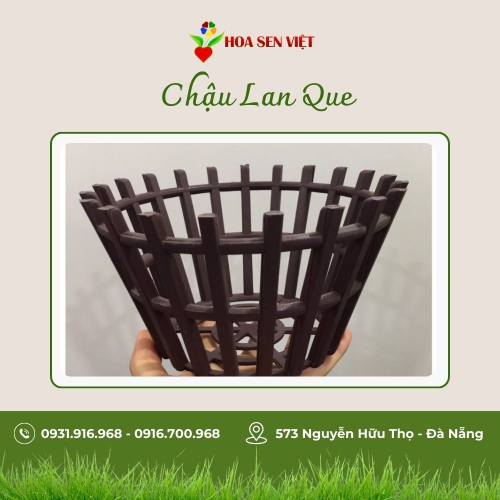  Chậu Lan Que Pi20 