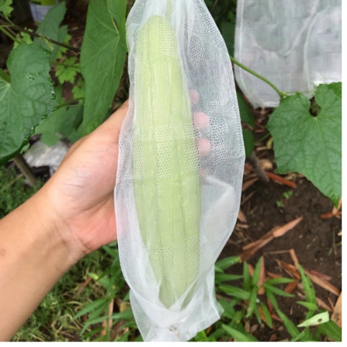 Bịch 100 túi vải không dệt bao trái - 15x35cm