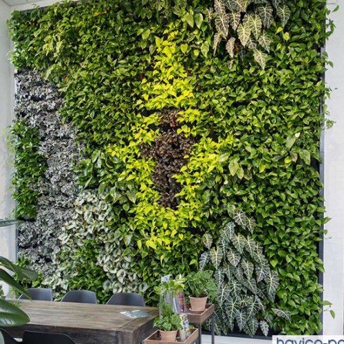 Thi công vườn cây trên tường