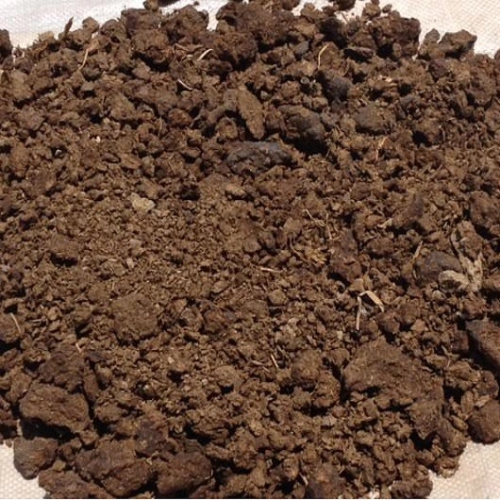 Phân bò đã qua xử lý