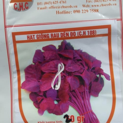 Hạt giống rau dền đỏ