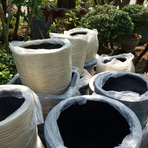 Chậu trồng cây - Chậu xi măng đầu đạn