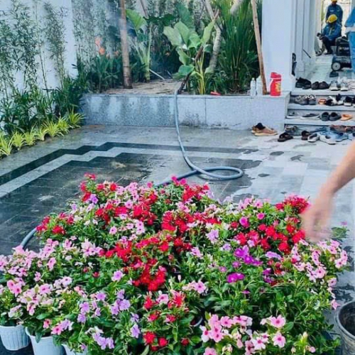 Quy Trình Chăm Sóc Sân Vườn Chuyên Nghiệp Từ A-Z Tại Đà Nẵng