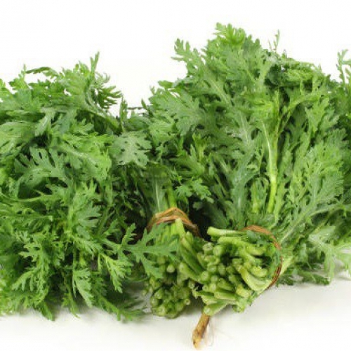 Hạt giống Tần ô