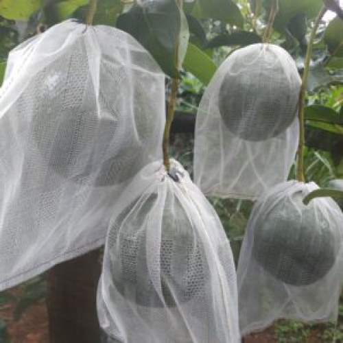 Bao lưới cước - 60x75cm