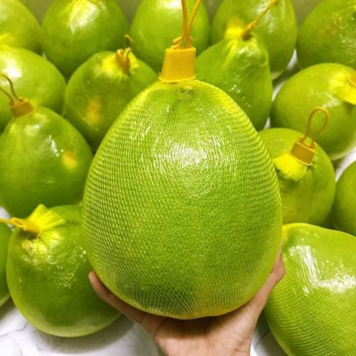 Túi lưới đựng trái cây và hoa L200 1kg - Màu vàng