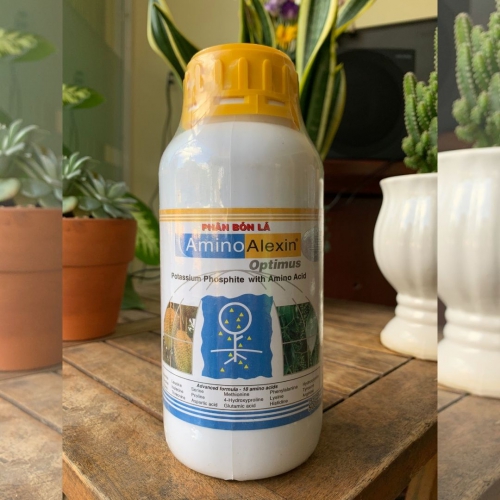 Phân bón lá PK sinh học Amino Alexin Optimus - 500ml