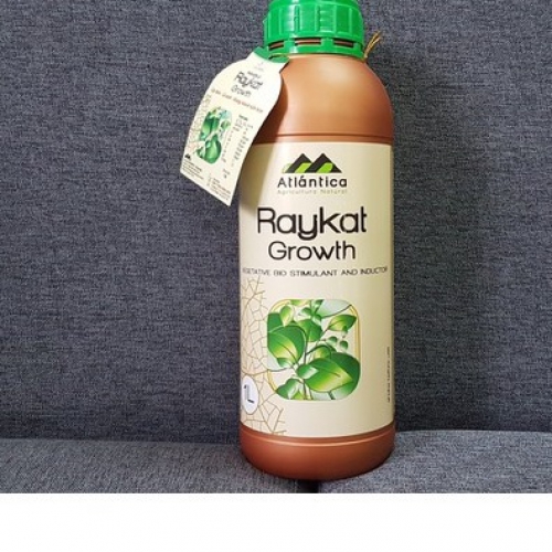 Phân bón lá Raykat Growth giúp cây khỏe - lá xanh - 1 lít