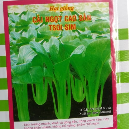 Hạt giống cải ngọt cao sản