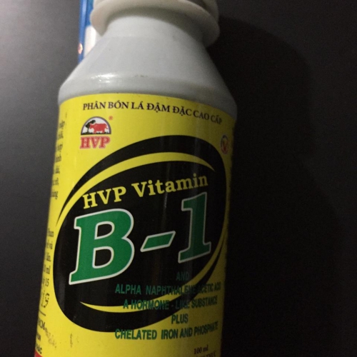 Phân bón lá HVP Vitamin B1 - 100ml