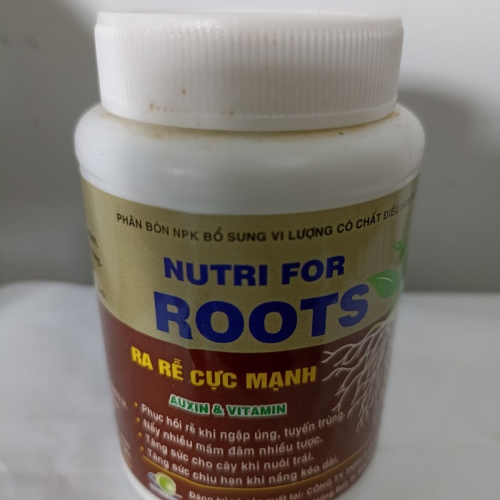 Phân bón Nutri For Roots kích thích ra rễ - 100g