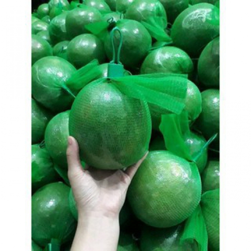 Túi lưới đựng trái cây và hoa L200 1kg - Màu xanh