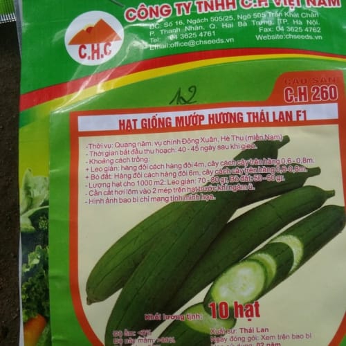 Hạt giống mướp hương Thái Lan