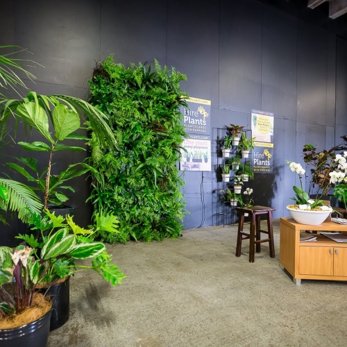 Cho thuê cây hội nghị Đà Nẵng