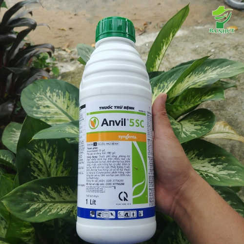 Thuốc trừ bệnh cho cây trồng Anvil 5SC - Chai 1 lít