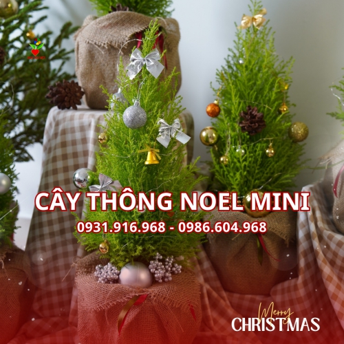 Cây Thông Noel Mini