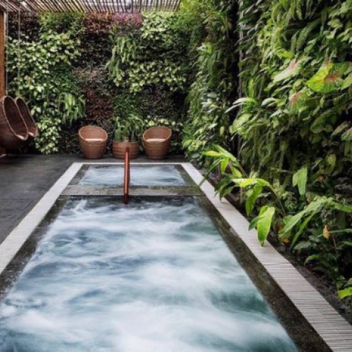 Các bước thi công vườn tường