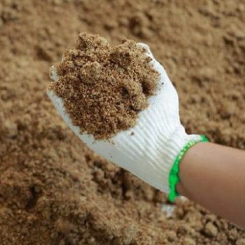 Phân bánh dầu qua xử lý loại bột 1kg