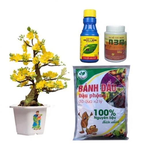 Combo chăm sóc và phục hồi mai sau tết - Gói mini