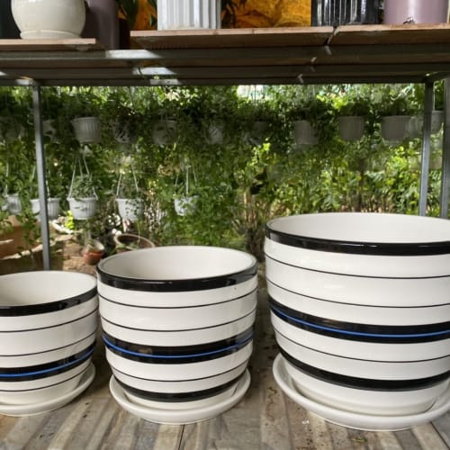 Chậu trồng cây để bàn hình cái sọc tròn trắng đen DB-5-40k