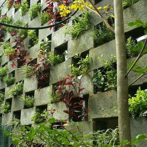 Vườn thẳng đứng Đà Nẵng