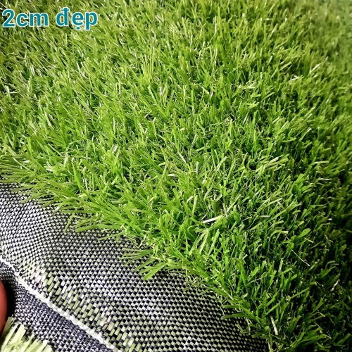 Cỏ nhân tạo sân bóng Đà Nẵng