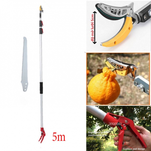 Kéo cắt cành hái trái trên cao - 5m
