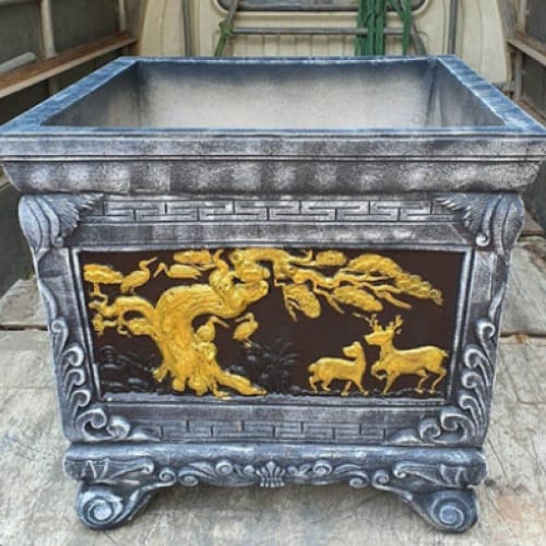 Chậu Trồng Mai Đà Nẵng