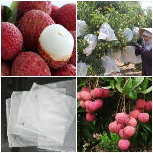 Túi bao quả dây rút - 35x45cm