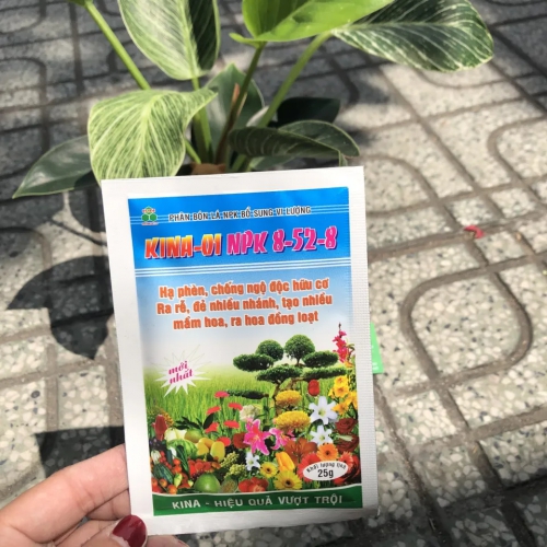 Phân bón Kina-01 lân 52 8-52-8 + TE