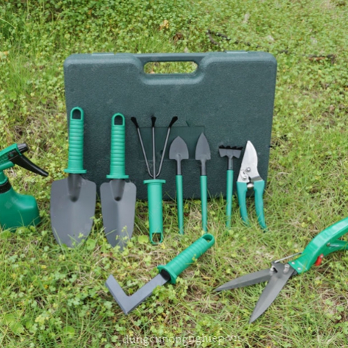 Hộp dụng cụ làm vườn lớn 10 món (xanh) HM216