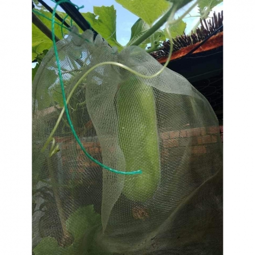 Bao lưới cước - 35x35cm