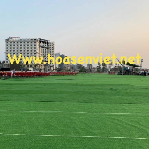 Cho thuê cỏ nhân tạo tân gia Đà Nẵng