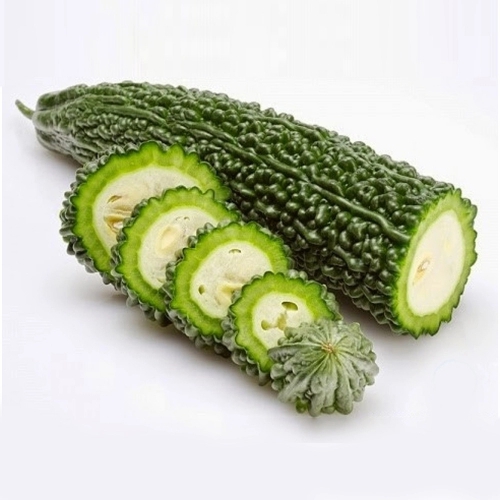 Hạt giống khổ qua F1