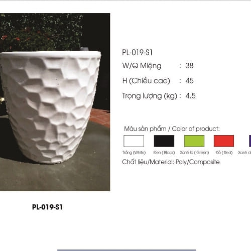 Chậu Trồng Cây Cảnh Đẹp tại Đà Nẵng