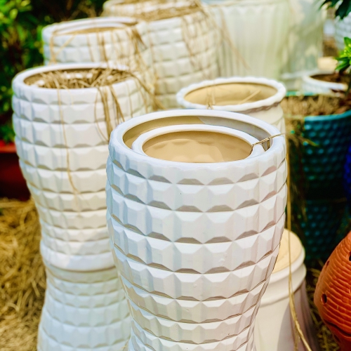 Chậu Sứ Trồng Cây Đà Nẵng