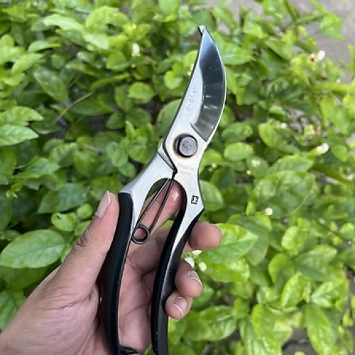 Kéo cắt cành Nhật Bản JA37